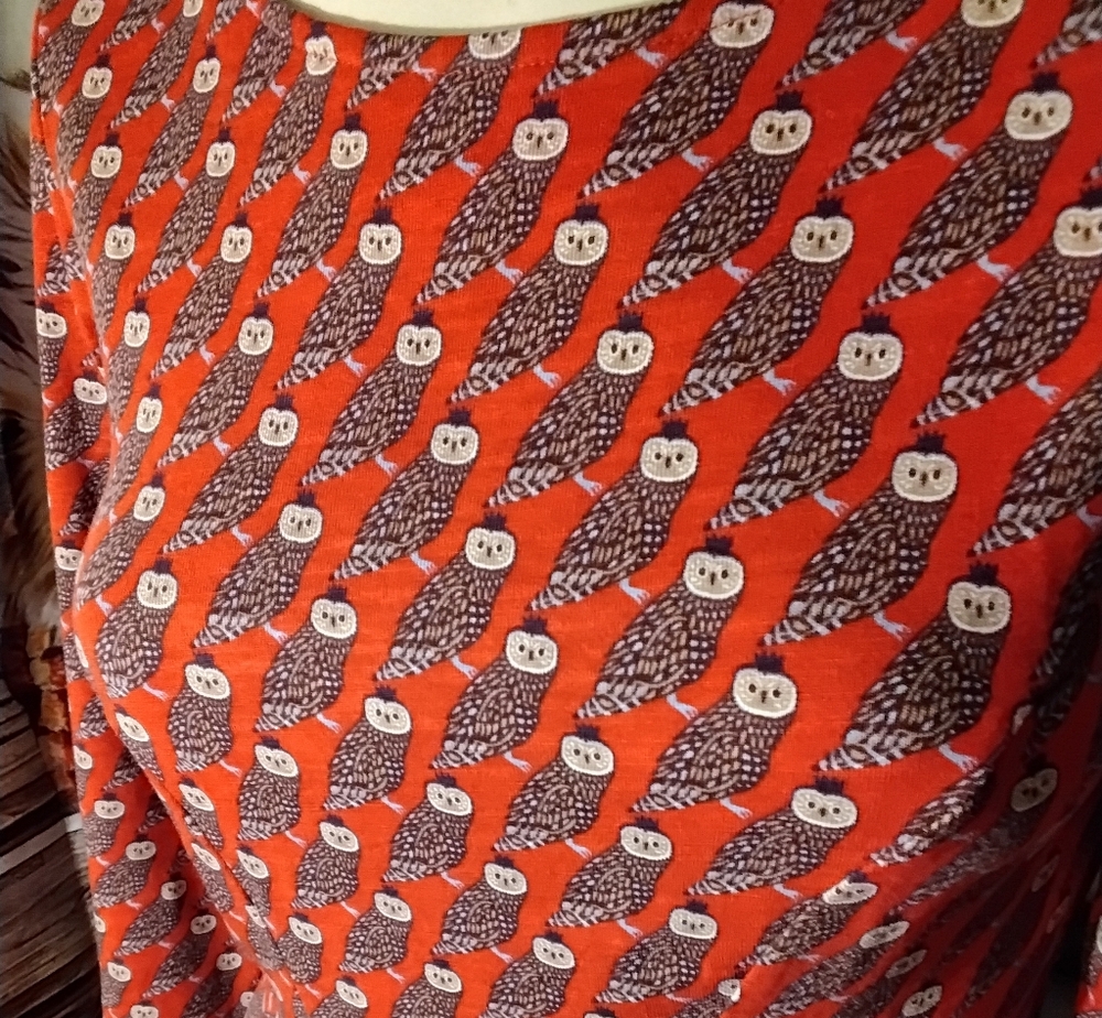 Boden Regal Owl Penny 3/4 Sleeve Knee Length Owls Dress Size Small NEW